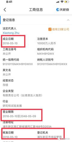 特斯拉上海建厂背后的战略与资本运作 亏损之下，超级工厂如何拔地而起？